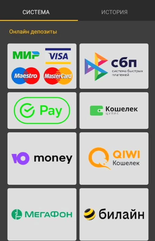 Платежи БК Мелбет